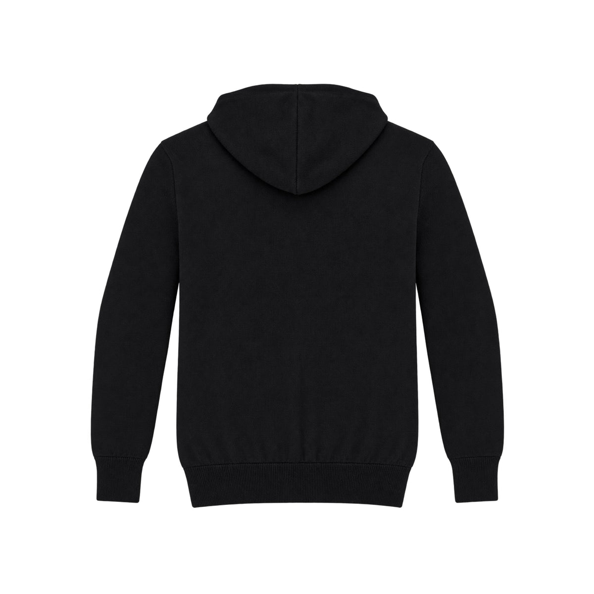 Patagonian Merino zip hoodie Black back