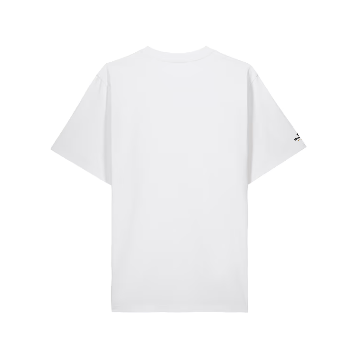 The Pioneer back