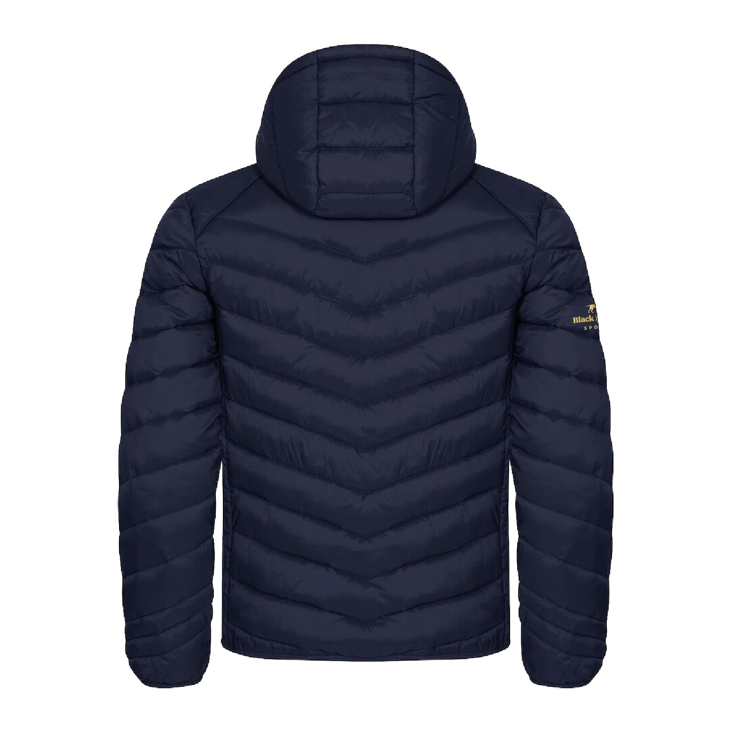 Asia Cup Padded Jacket