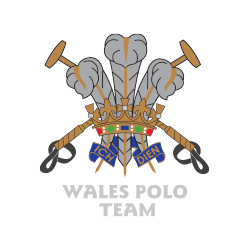 Wales Polo Team crest