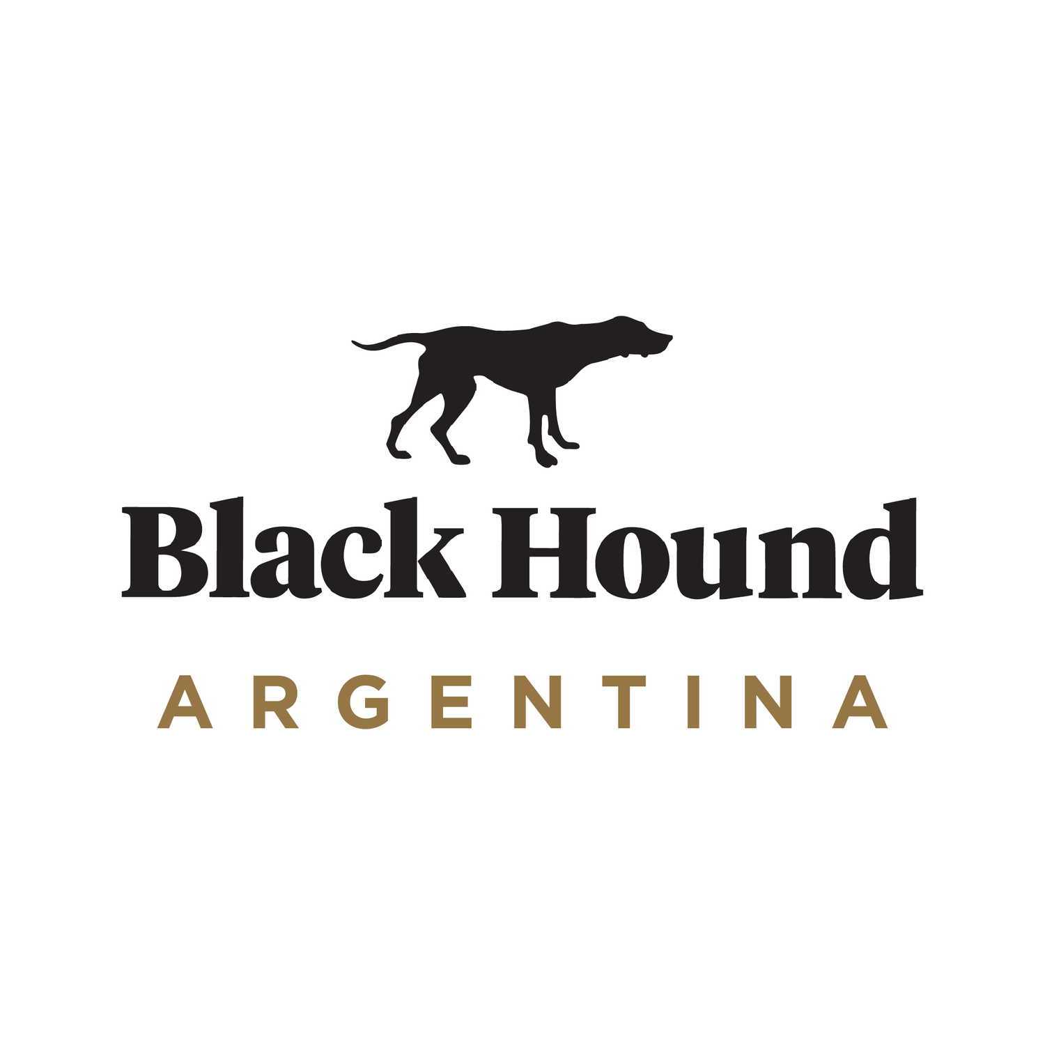 BH Argentina