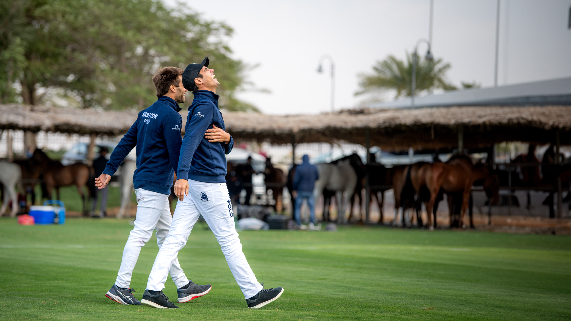 Black hound polo sale