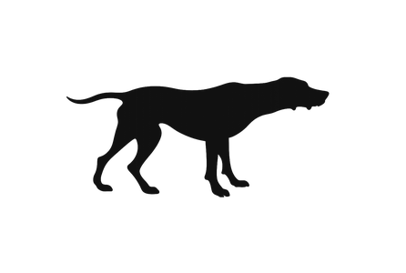 Black Hound Sports